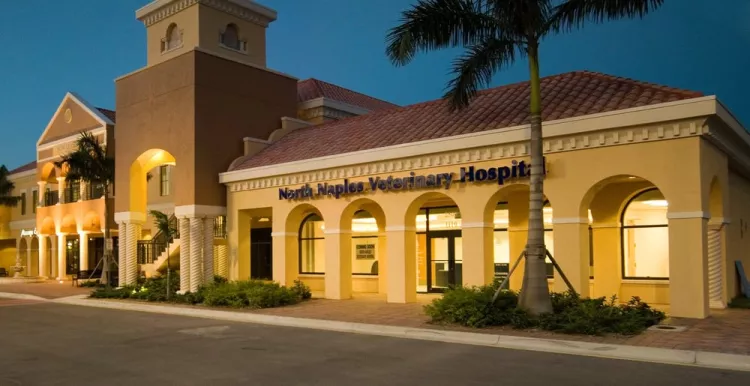 North Naples Veterinary Hospital, Florida, Naples